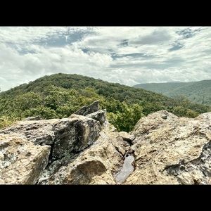 Meet your Posher, Gabby